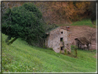 foto Paesaggi Autunnali tra le Colline 